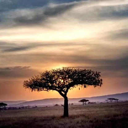 afrikai