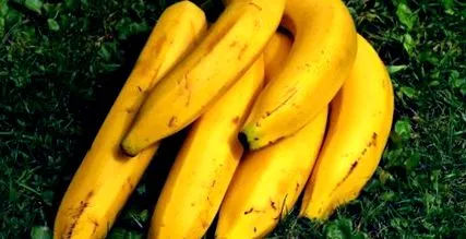 vraifaux banana