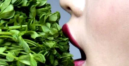 alimentar