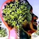 neurotransmițători neurotransmițători