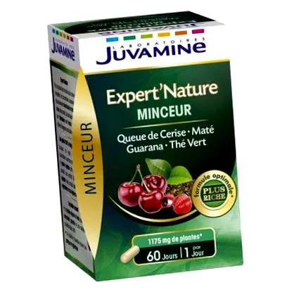 expert