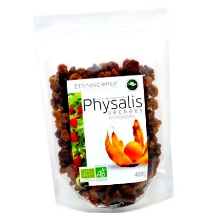 physalis physalis