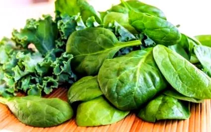 utilizate alimente