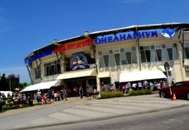 Honvédő Háború