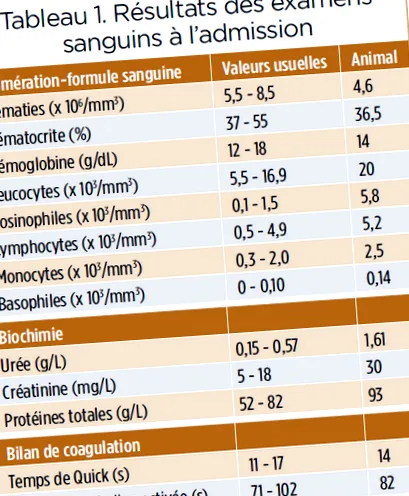 angiostrongiloză