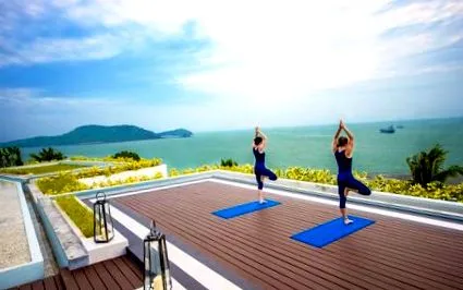 wellness wellness