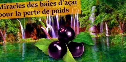karcsúsító acai