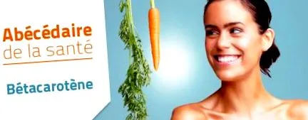 alimentație