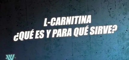 l-carnitine