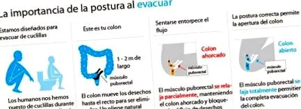 testtartás