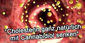efectul