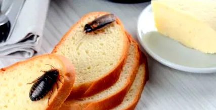 gândurile