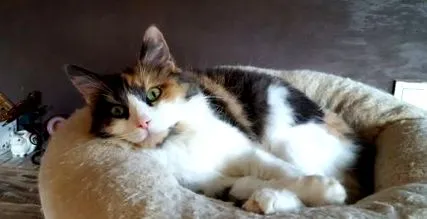 Lyuba mama