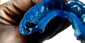 guri
