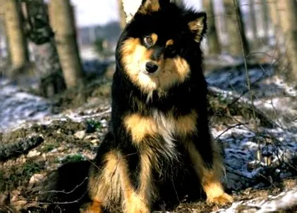 характер