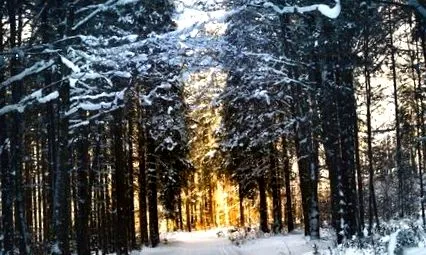 trükkök