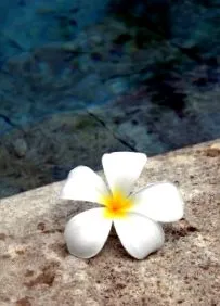 hawaiian