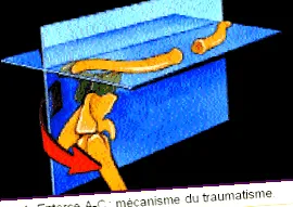 disjuncțiilor