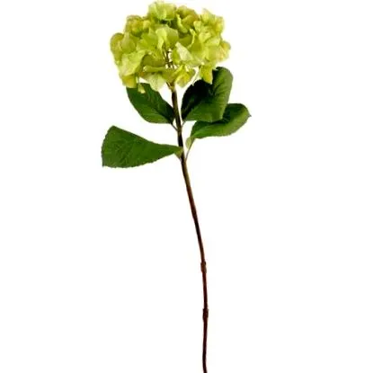 floare