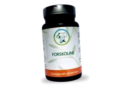 forskolin forskolin