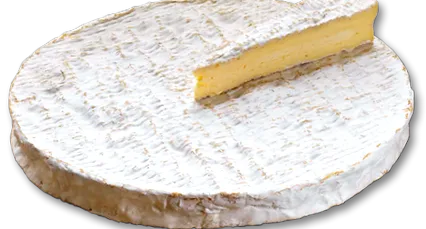 gyártás brie