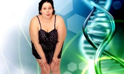diéta