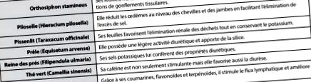 dossier