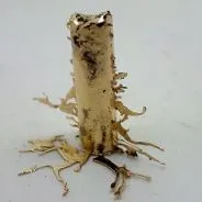 metal