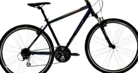 gitane