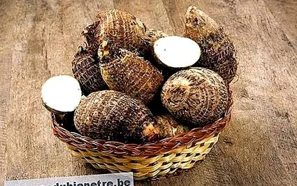 câștigi