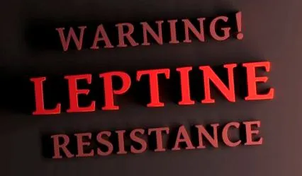 leptinei