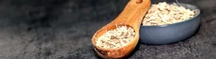 rădăcină