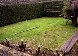 papság papság