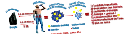 estetic