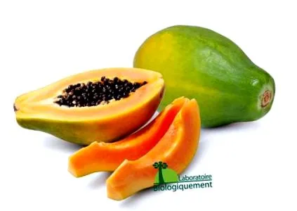 papaya egészségre
