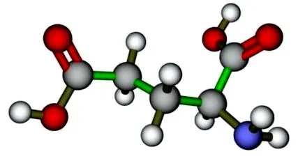 aminoacizilor