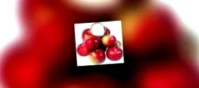 kiőrlésű kenyér fogyókúrás