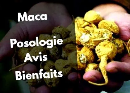 adagolása