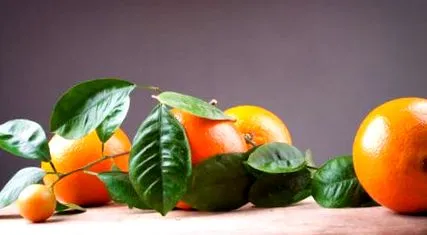 portocala