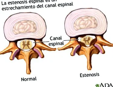 medical