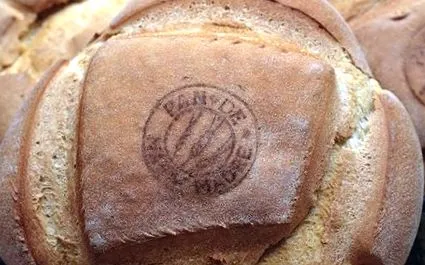 ползите