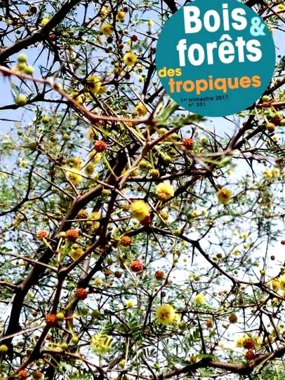 rigny-antsiranana-öbölből növényi