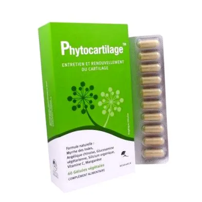phyto ízületek