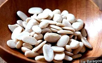 faseolamin