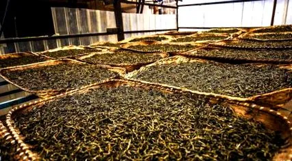 puerh-t vegyen