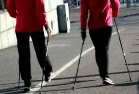 sportului