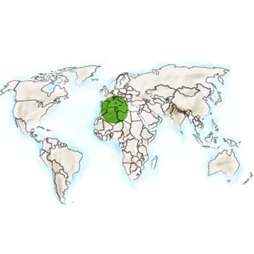 таке переваги
