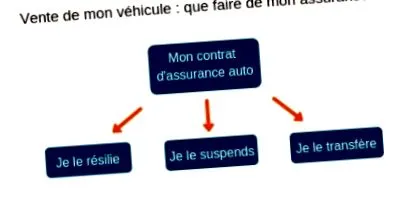vehiculul