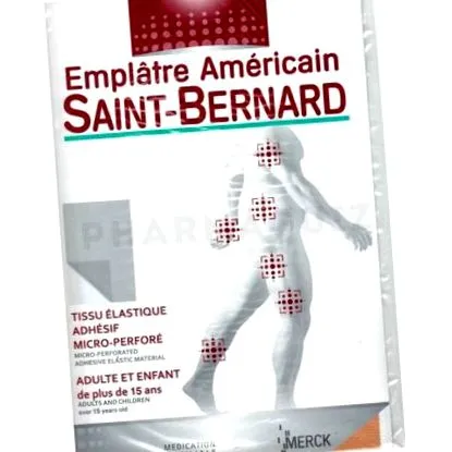 saint-bernard