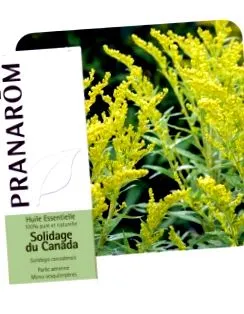 pranarom